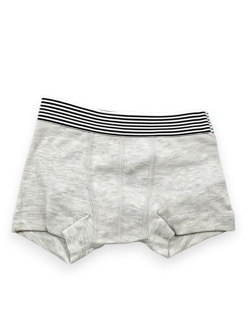 Boxer enfant 2 ans