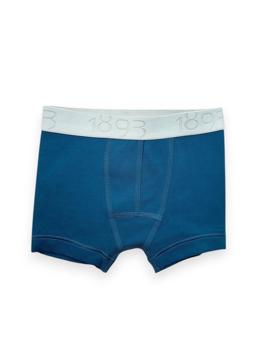 Boxer enfant 2 ans