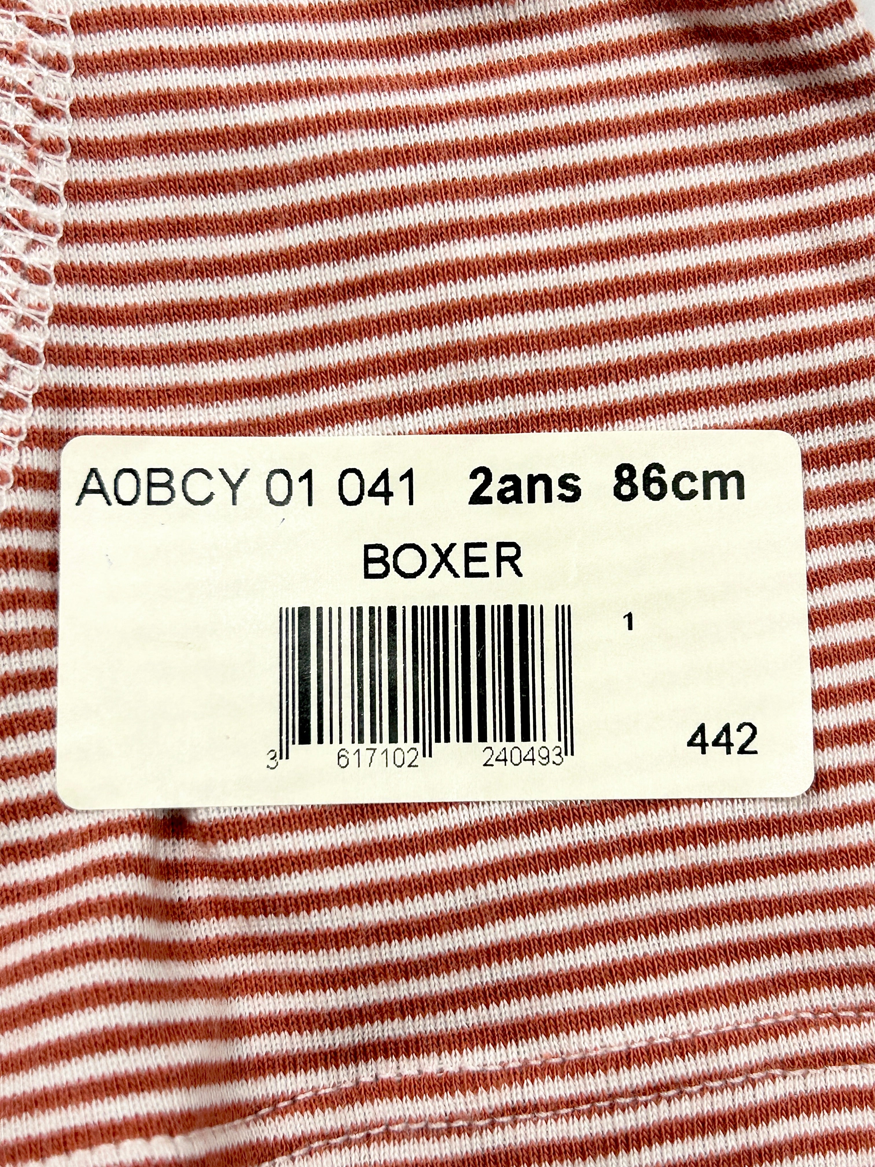 Boxer enfant 2 ans