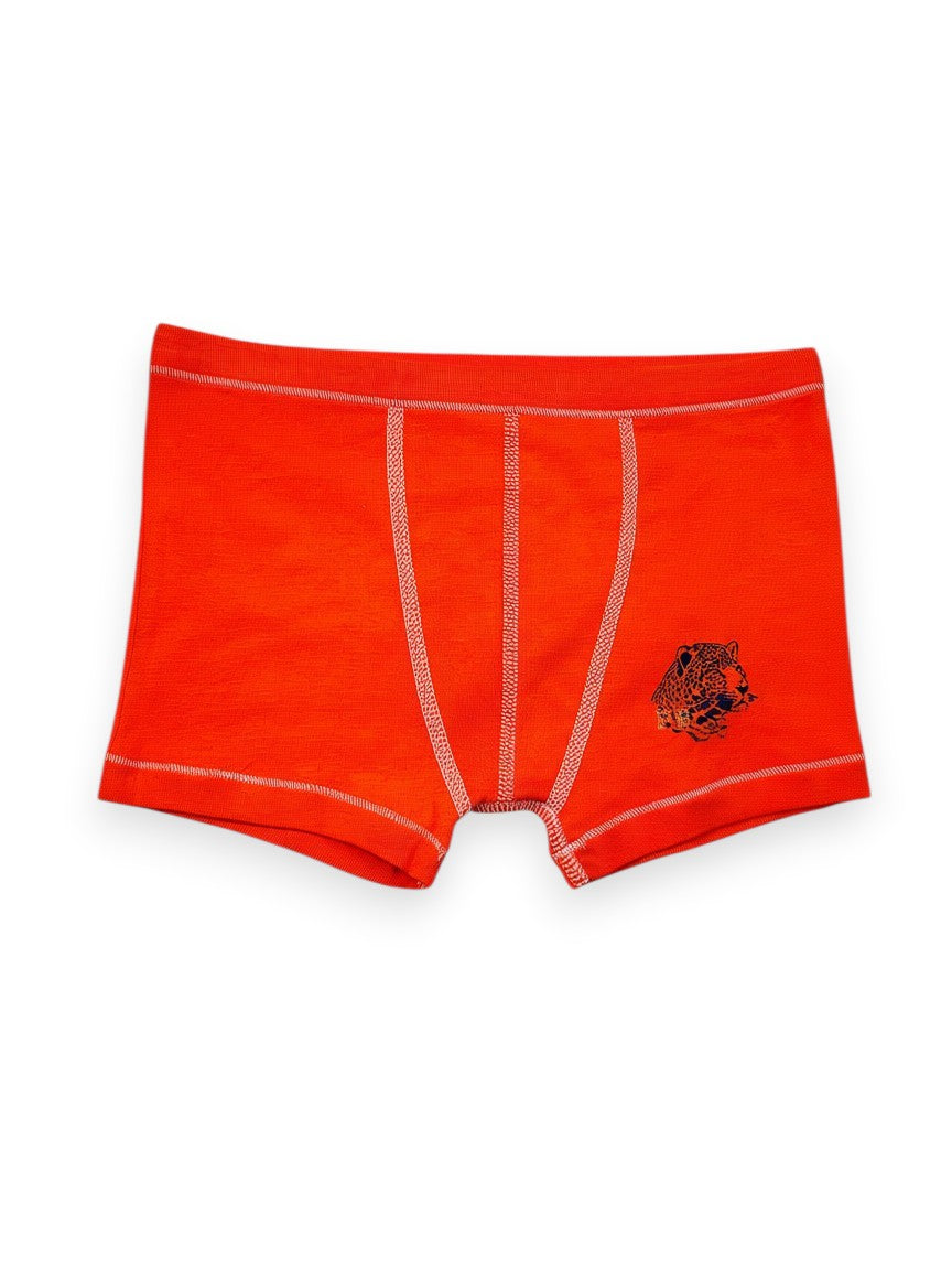 Boxer enfant 10 ans