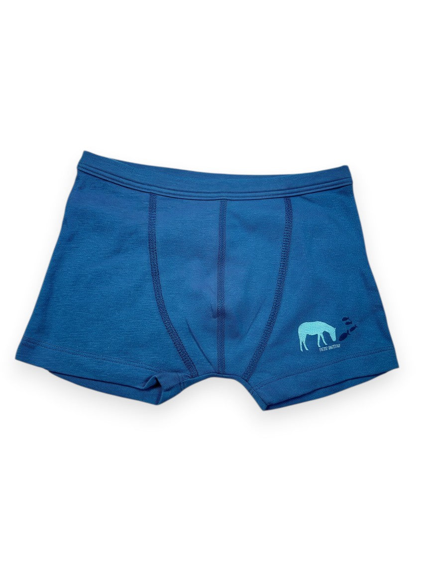 Boxer enfant 4 ans